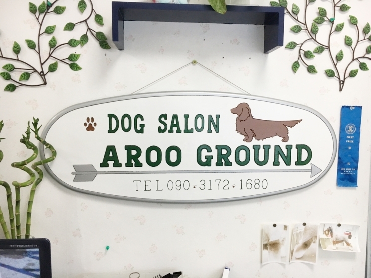 DOG SALON AROO GROUND（ドッグサロン アロオグラウンド）