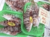 「魚魚市場鮮魚コーナーおすすめは「キッコリ」です♪」