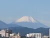 「秋も深まり北からは冬の報せも聞こえてきます。」