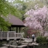 県立東高根森林公園