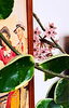 桜ラン 今年も綺麗に咲きました「🌸 高温多湿な山陰に最適な服地はこれです！！」