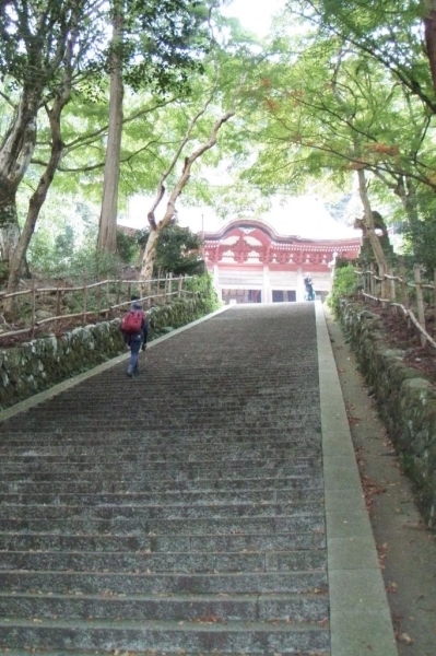 根本堂へ上がる階段。紅葉していたら綺麗ですよね♪