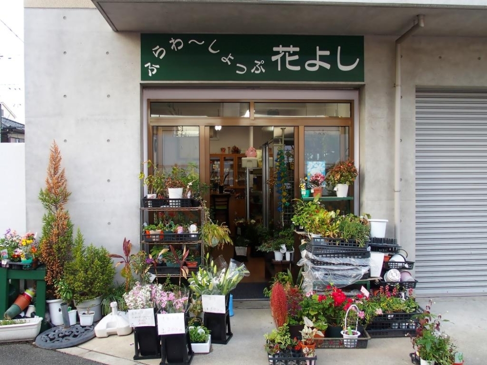 ２５ フラワー カフェ 花よし 高齢者に優しい商店街はこちら まいぷれ 東大阪市