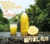 「愛南町の柑橘名人 👨‍🌾清家 素直さん👨‍🌾の 🎊安心・安全の無添加🎊 果汁100%ジュース🍸」