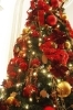 「上越にお住まいの方へ！クリスマス装飾のご提案です！」
