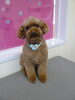 「おひさま　☀　っていいですね～　(*^_^*)」