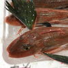 「魚魚市場鮮魚コーナーおすすめ商品は「チカメキントキ・イサキ」です♪」