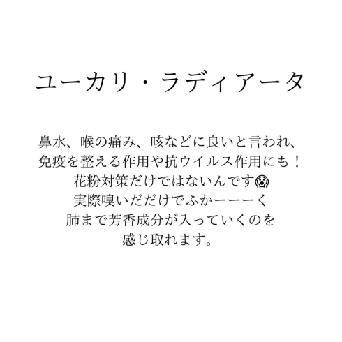 植物そのものの芳香成分を凝縮「花粉症の症状にお悩みのあなたへ」