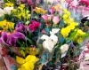 「母の日のお花、入荷しました！お好きなギフトをラッピングいたします🌸」