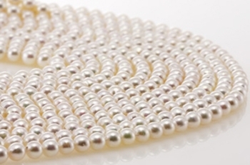 アコヤ貝は日本で生産される最も代表的な真珠です。「ジュエル ヒラタ」
