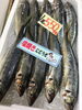 「魚魚市場鮮魚コーナーおすすめは「アジ」です♪」
