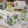 「『ほおば巻』の季節が始まりました！期間中毎朝入荷予定です。」