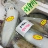 「魚魚市場鮮魚コーナーおすすめは「レンコ鯛・イカ・イサキ」です♪」