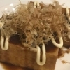 お好み焼き風厚揚げ（主菜）