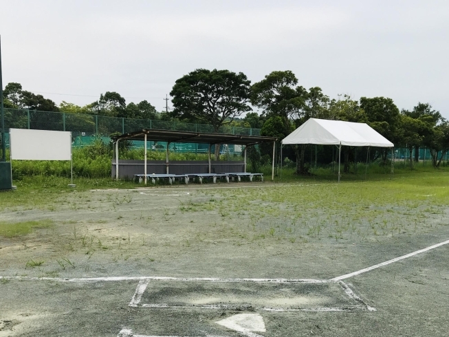 各コートの一塁側と三塁側にベンチ用のテント設置「ソフトボール大会 会場設営」