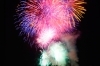 第66回・にいはま納涼花火大会写真（1）