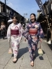 参道には浴衣が似合います「今年もやります！【葛飾区限定！成人式の豪華振袖フルセットレンタル店】」