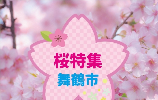 舞鶴　桜・お花見スポット　開花状況