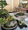 「入笠やまの花友の会 秋の展示会 開催のお知らせ🍂」