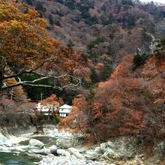 加古川で紅葉を楽しもう♪　秋を楽しむおすすめのスポット☆