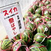 「地元 木曽駒高原『とうもろこし』数量限定入荷！売り切れごめん！」