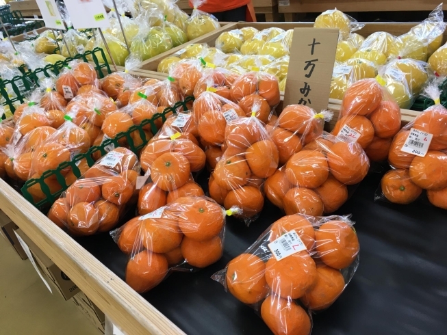 「【川島店】様々な柑橘類を販売！」