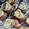サザエ壺焼き「2月17日の海鮮」