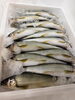 極上鮮魚をご堪能ください。「鮎の原始焼き！行者ニンニク天ぷら入荷のお知らせ」