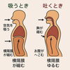 「腹圧が姿勢を作る！──呼吸で背骨も内臓も血液循環も同時に活性化【荒川区/東日暮里　フィーリングス日暮里整体院 】」