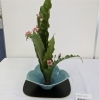「鈴鹿市芸術協会花展」