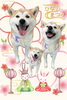 「Dog salon mofu mofu　余市町」