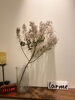 「ラルムの店内はお花や植物が沢山です。」