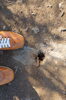 山頂から「この穴はブラジルへ繋がる穴？」(^^;)「まいぷれ橿原インスタグラムのフォロワーが6000件を突破しました　ヽ(^o^)丿」