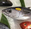 「魚魚市場鮮魚コーナーおすすめは「北海道産活ホタテ」です♪」