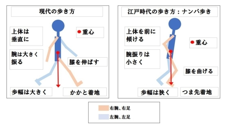 少々難しい「ナンバ歩き」です。「認知動作型トレーニングは「ナンバの動き」で解決！」