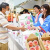 川西特産早生桃「日川白鳳」の品評即売会の開催