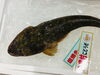 「魚魚市場鮮魚コーナーおすすめは「サバ・カツオ」です♪」