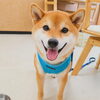 まるちゃん「今日のお友達」
