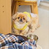 たまちゃん「今日のお友達」