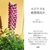 春はもうそこまで来ています「自然療法」