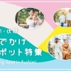 京都市伏見区のおでかけスポット特集