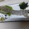 生シャコ