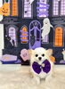 ロミちゃん「Happy Halloween 2026🎃」