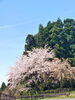 「絶景温泉  アイアイひらたでごゆっくりおくつろぎ下さい♨️」