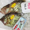 「魚魚市場鮮魚コーナーおすすめは「クロ・シビマグロ」です♪」