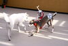 「今日のお友達」