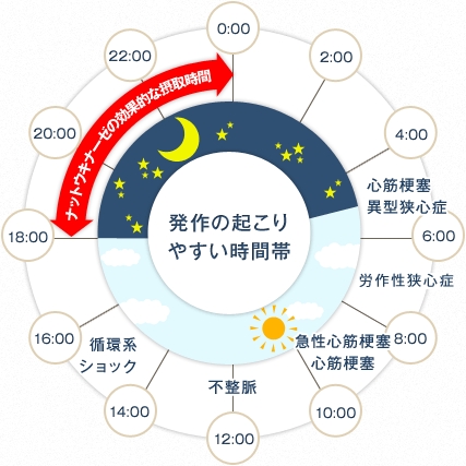 納豆は夜の方が良いみたいですね。「納豆の素晴らしさ…。　　　　　　　　　　　　　ナットウキナーゼと血栓の関係。」