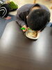 おいしくいただきました！「みんなで餅つき！[札幌市北区児童デイサービスこぱんはうすさくら札幌太平教室]」