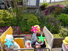 「子どもの日の集い 【交野市 小規模保育園】」