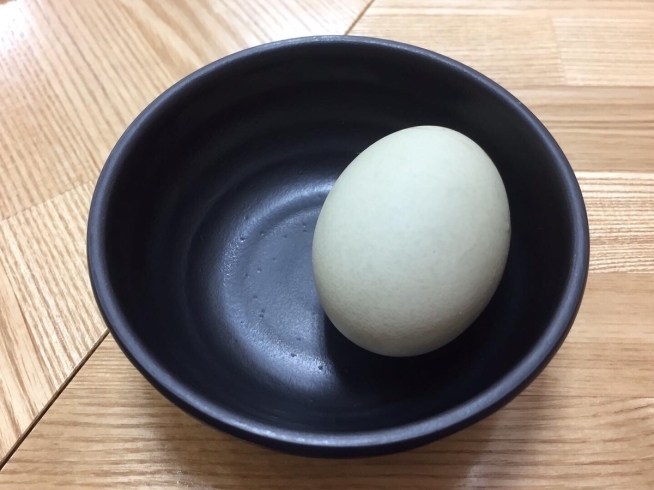 アローカナの卵！ほんのり青いです(^o^)「アローカナの卵を使ったプリンアラモード♪サングリーン1階フードコートのひらたさんでいただけます。卵入荷時のみの限定メニューです☆」